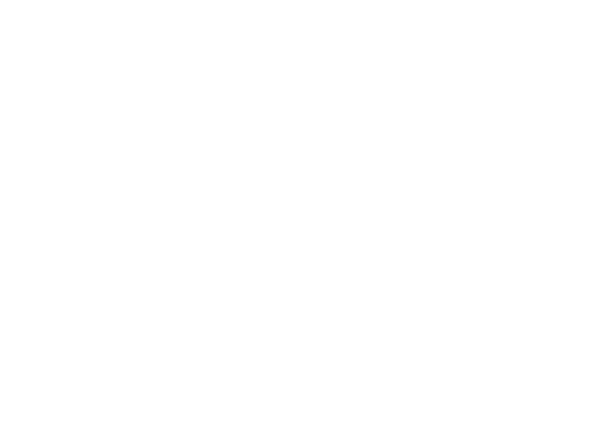 SV Immobiliare
